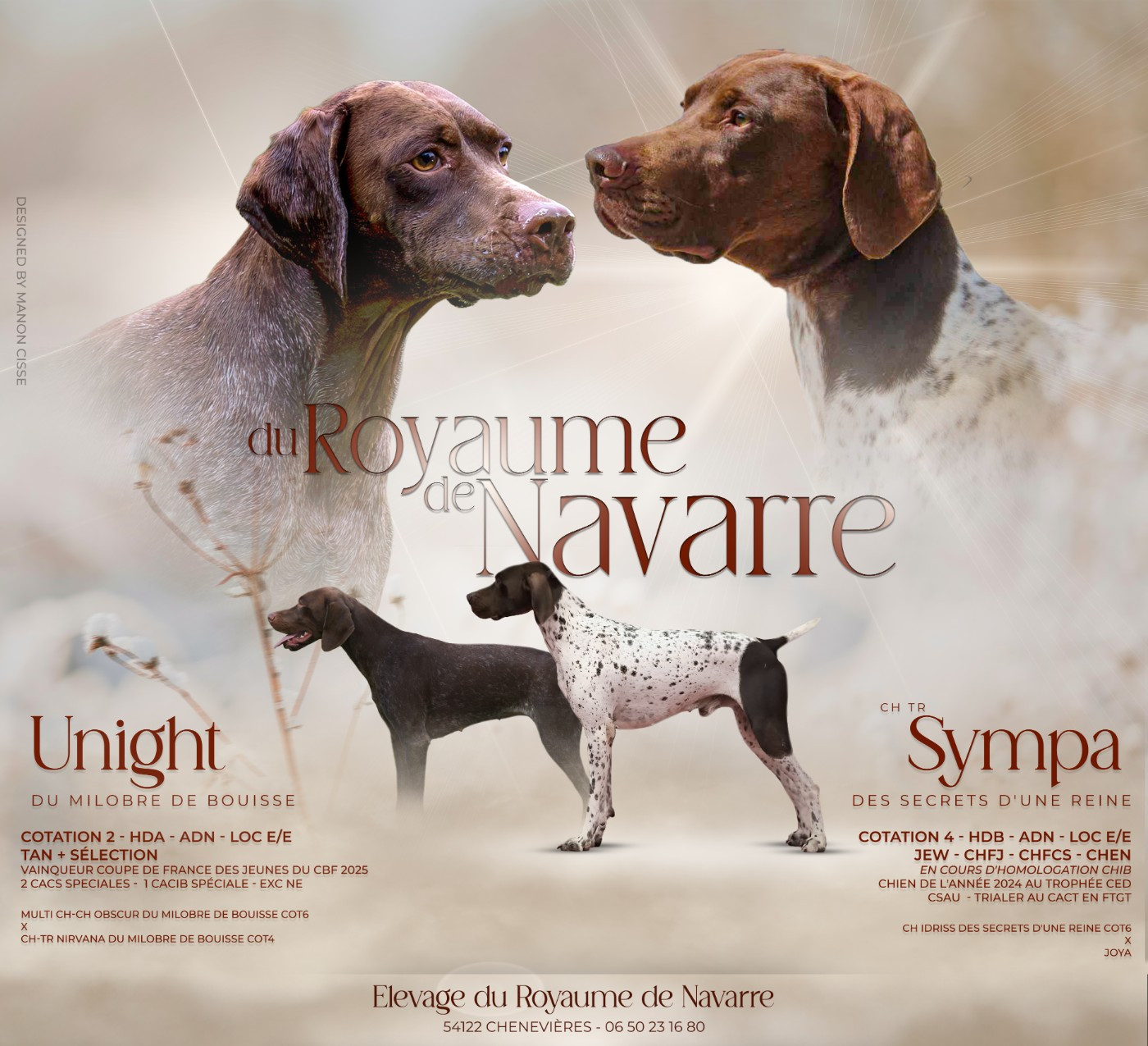 Du Royaume De Navarre - Braque français, type Pyrenees (petite taille) - Portée née le 21/03/2026